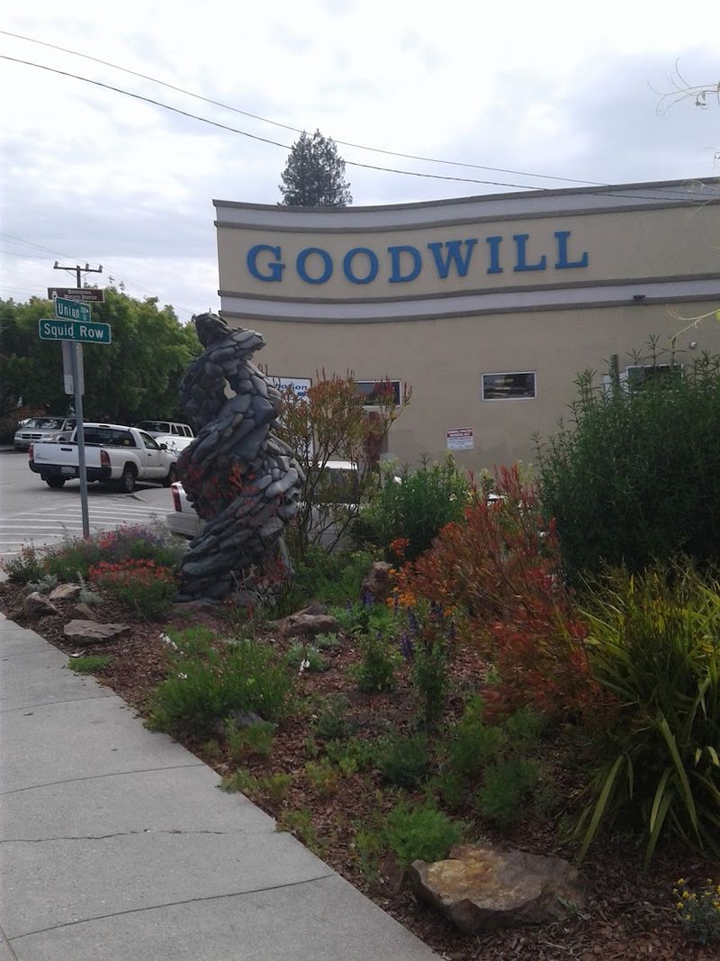 Goodwill, Santa Cruz
