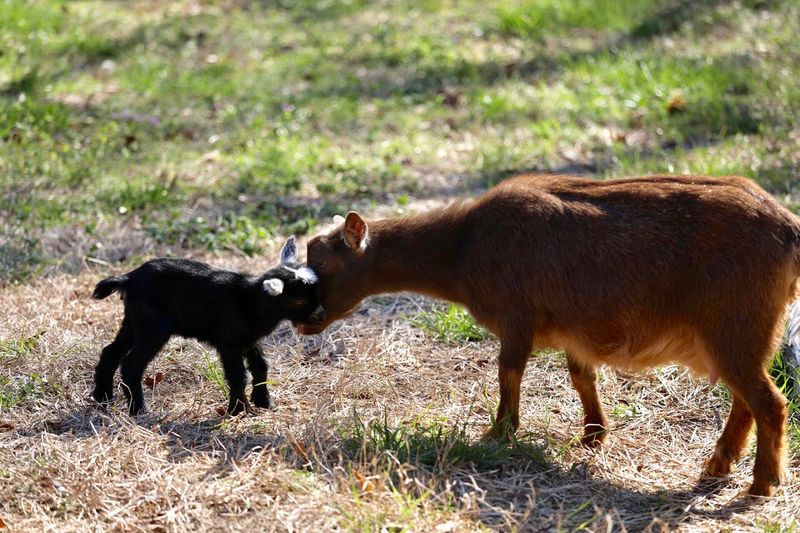 Fresh Country Air And Open Fields That Make Every Pose Feel Calmer