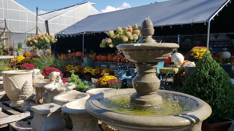 Seasonal Events Including Pumpkin Patches and Hayrides