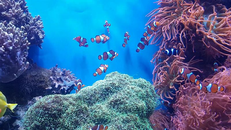 Weekdays Vs. Weekends