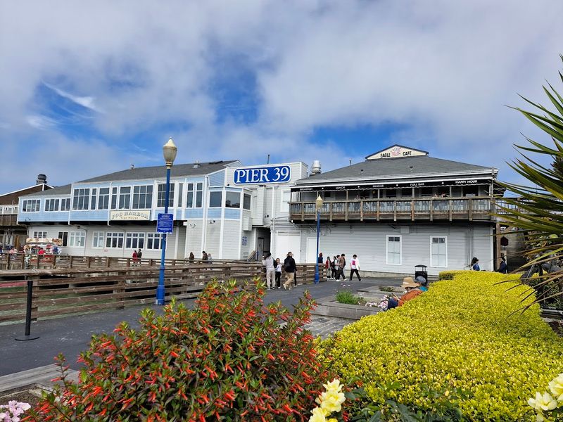 Environmental Stewardship Beyond The Menu