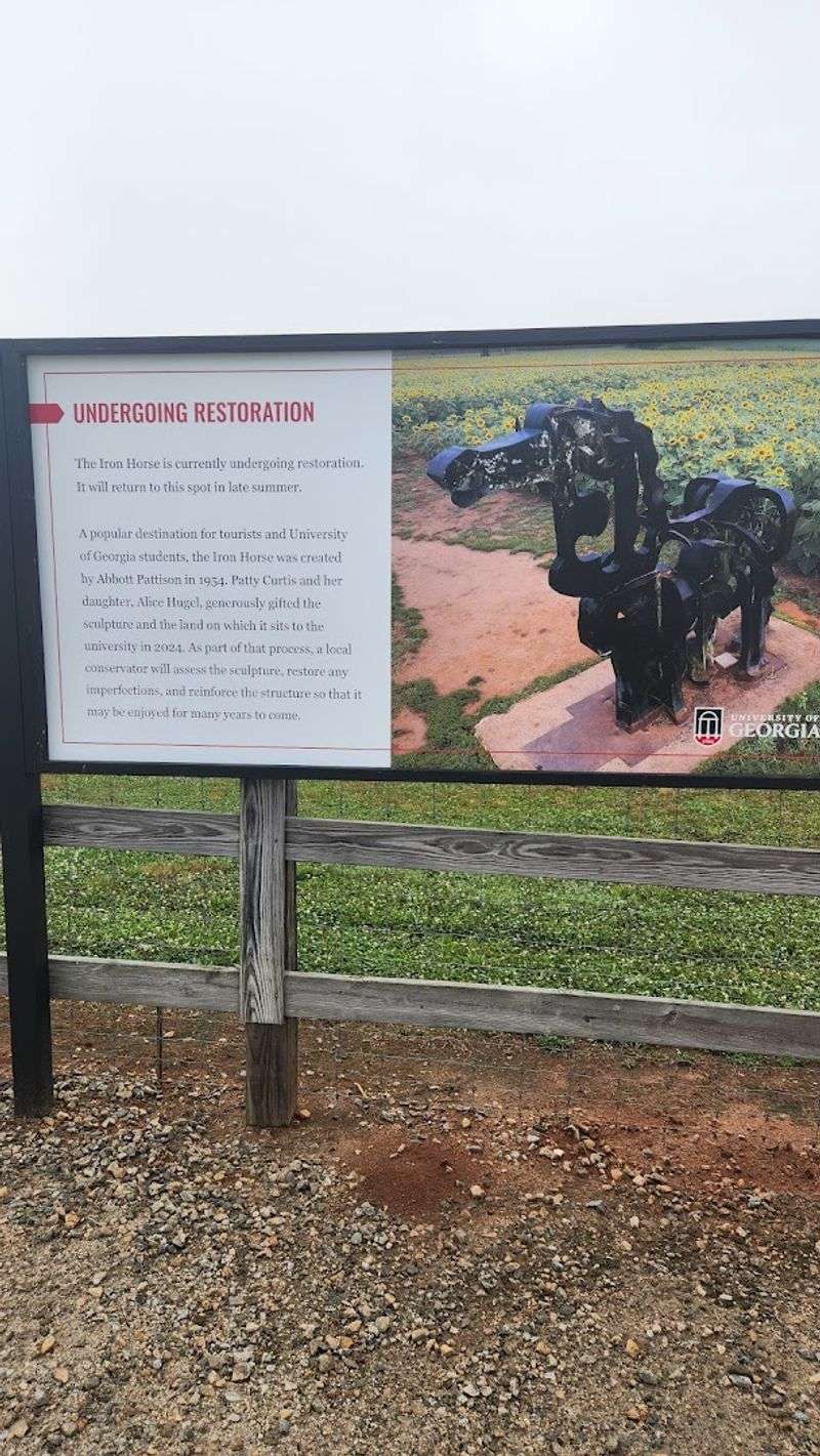 The Major 2024 Restoration