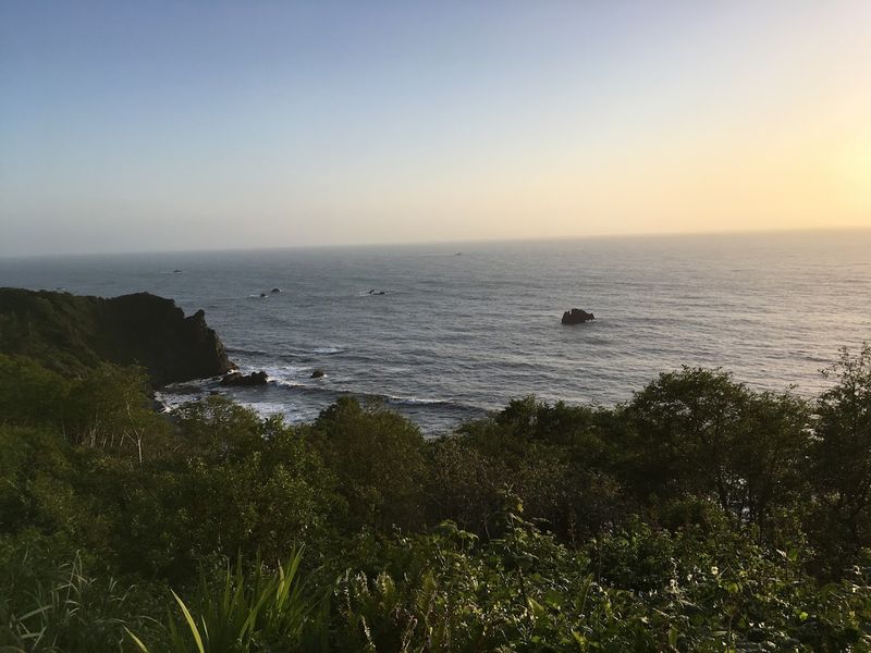 Fewer Crowds Than Nearby Redwood Parks
