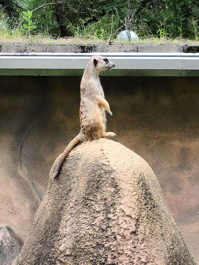 Seasonal Events and Holiday Camps