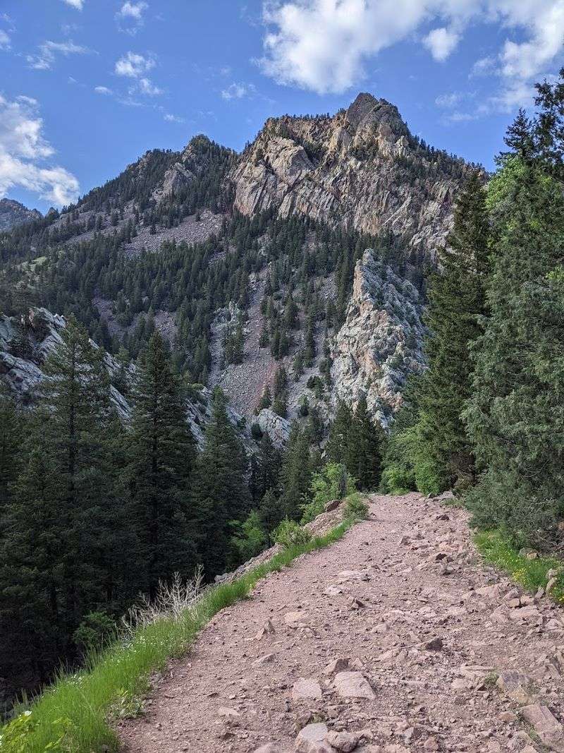 Rattlesnake Gulch Trail, Eldorado Canyon State Park