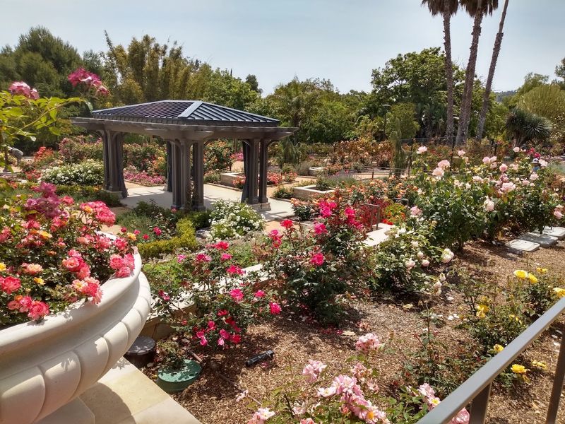 What's Blooming In March: Fuchsias, Wisteria, And Sweet Peas