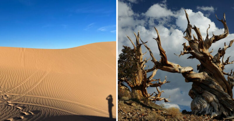 Discover California’s Vast Deserts On An Epic Road Trip
