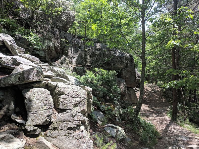 The Ancient Stone Wall on the Old Fort Trail