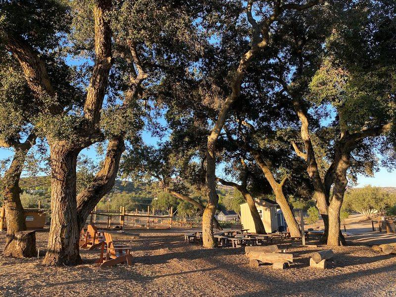 Discover This Alpine, California Petting Zoo That's Creating Big Family Memories - Decor Hint A 20-Acre Rescue Farm With Real Roots In Alpine, California