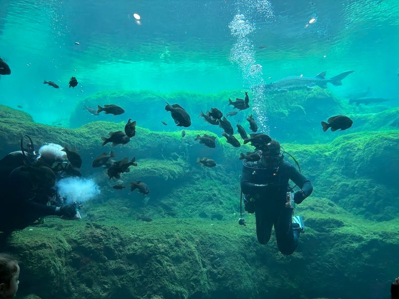 World of Water Global Exhibit