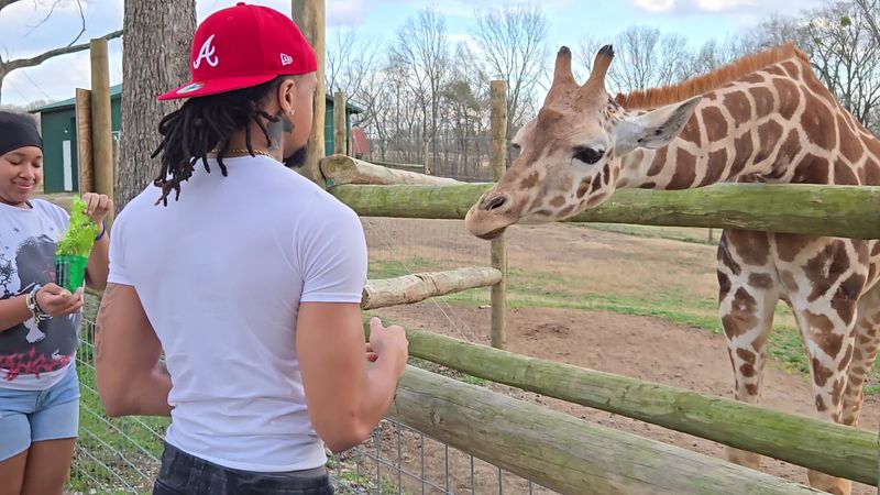 Free Animal Feed Included With Every Admission