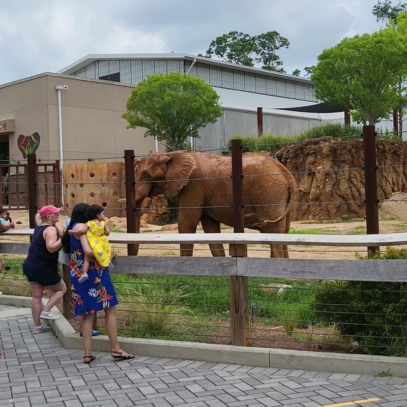 This Atlanta Georgia Gem Began With Circus Animals In 1889 And Is Now A Leading Research Zoo - Decor Hint Informative Educational Signage Throughout the Zoo