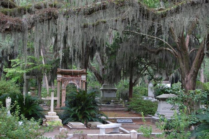 This Haunted Landmark Bonaventure Cemetery Savannah Georgia Draws Thousands - Decor Hint Underground Grotto Chapels