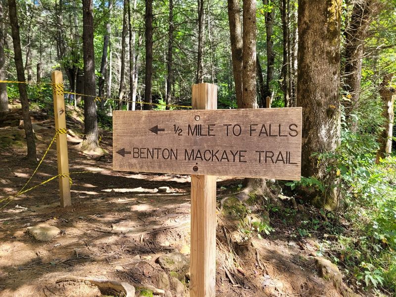 Well-Maintained and Clearly Marked Path