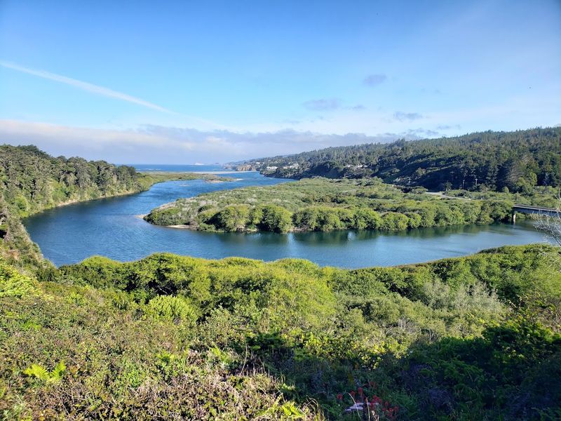 Gualala Point Regional Park Campground, Gualala