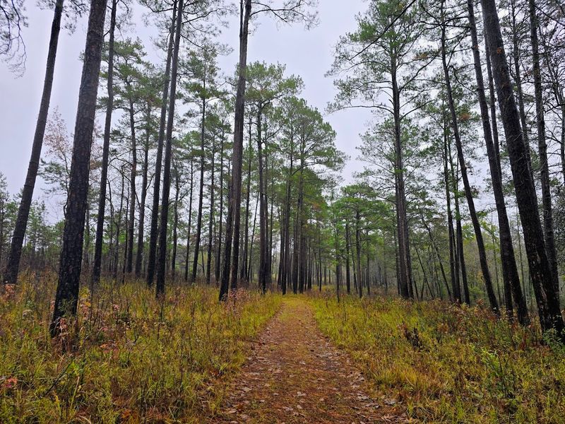 Birdsong Nature Center