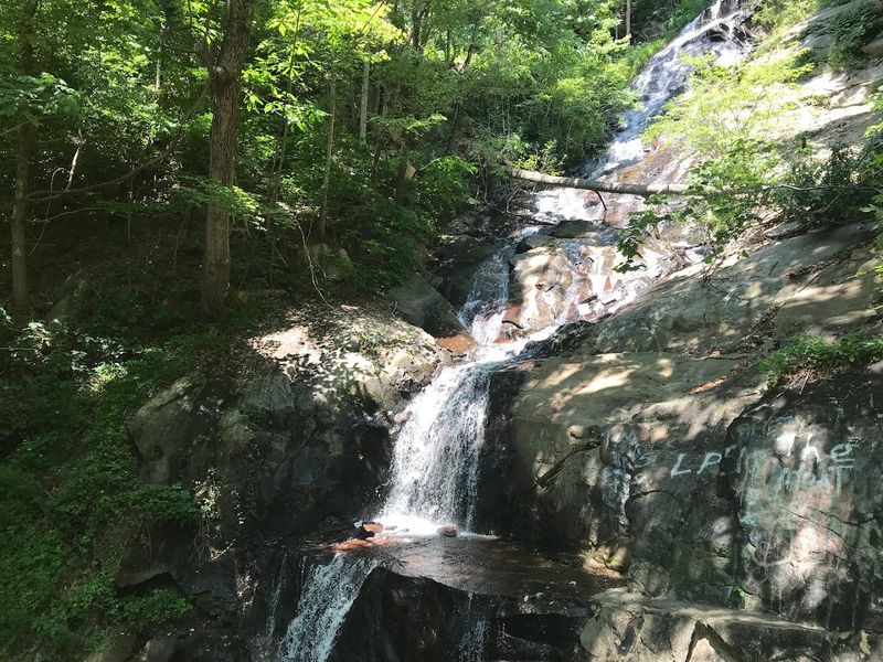 Pisgah National Forest
