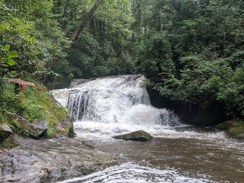 Headwaters State Forest