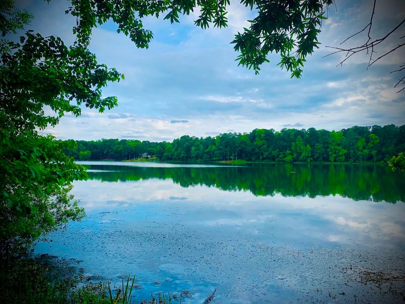 The Best Easter Egg Hunts In North Carolina Parks And Gardens This Spring - Decor Hint Lake Benson Park, Garner