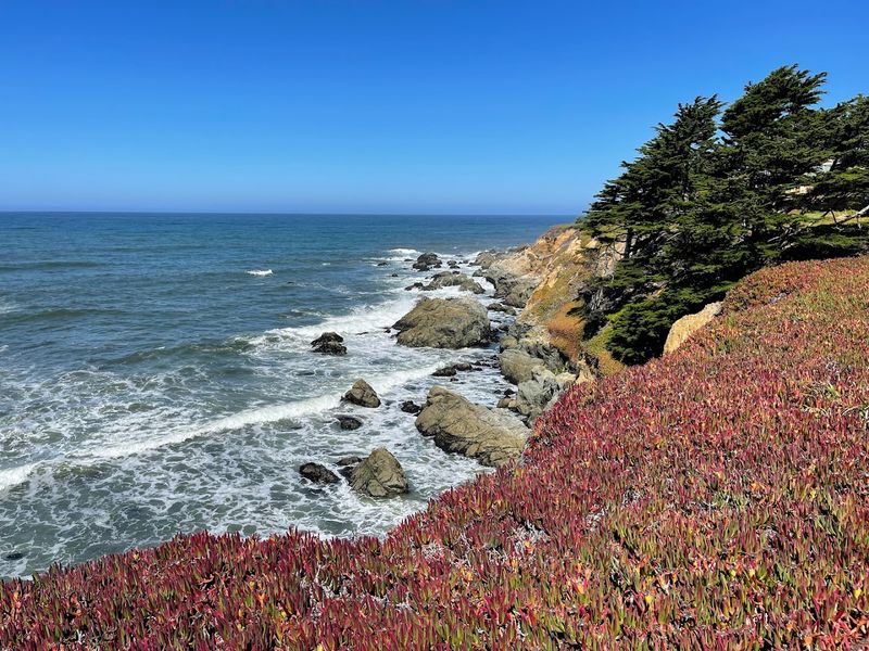 This Historic Lighthouse In California Hides One Of The Coolest Hostels In The US - Decor Hint Wildlife And Ocean Moments You Might Catch