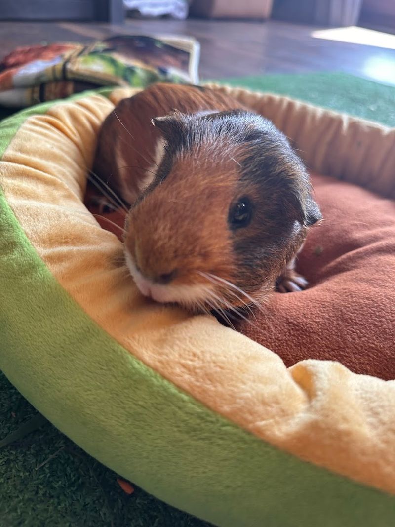 Glowing Reviews from Real Visitors