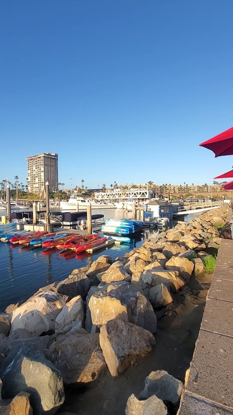 Daily Fresh Fishing Activity