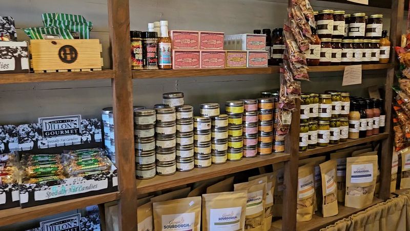 This Unassuming Georgia Farm Is Quietly Driving A Revolution In American Agriculture - Decor Hint Community Revitalization Story