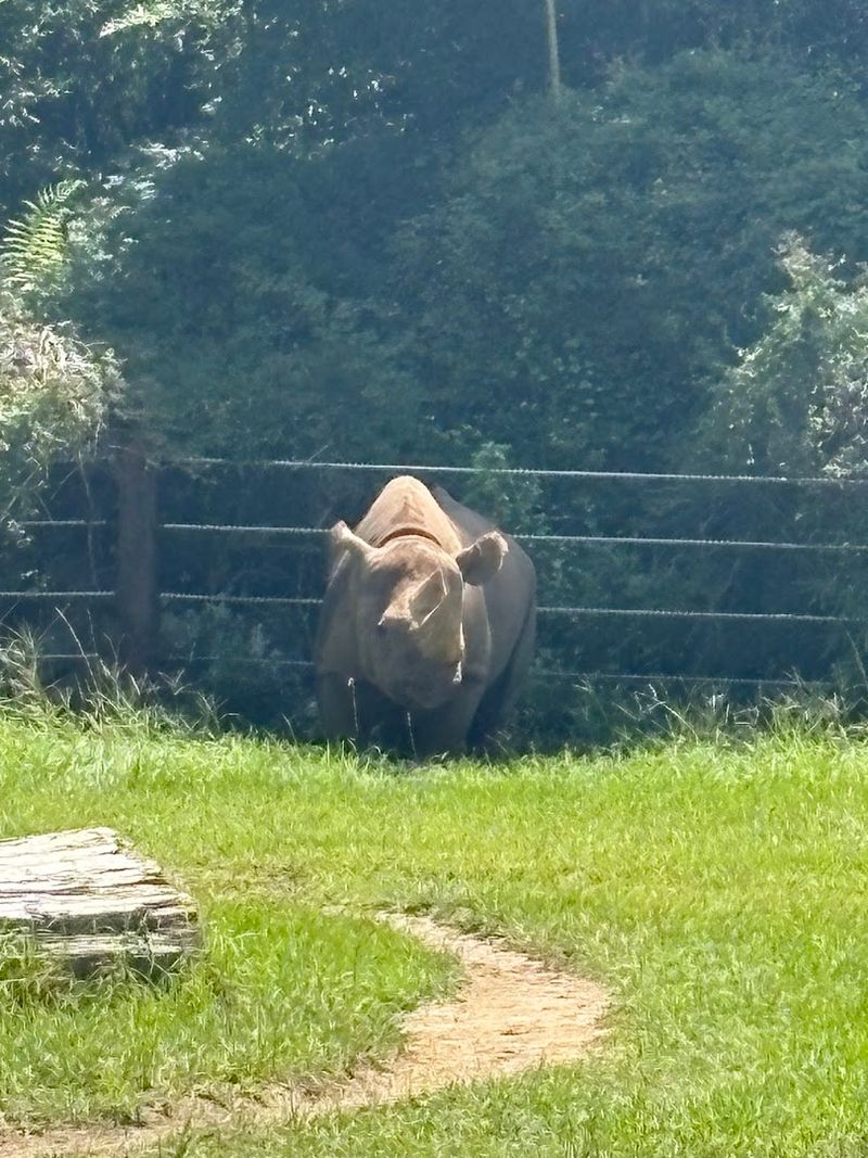 Up-Close Animal Encounters and Feedings