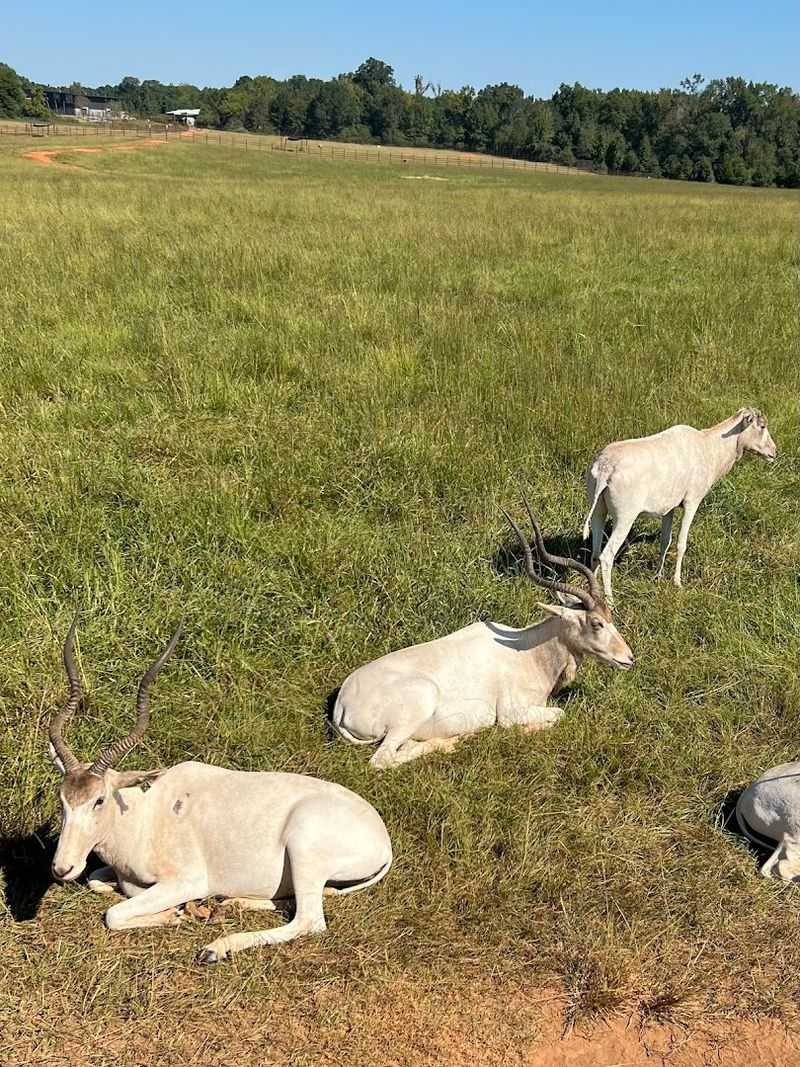 Strong Conservation Mission and Endangered Species Support