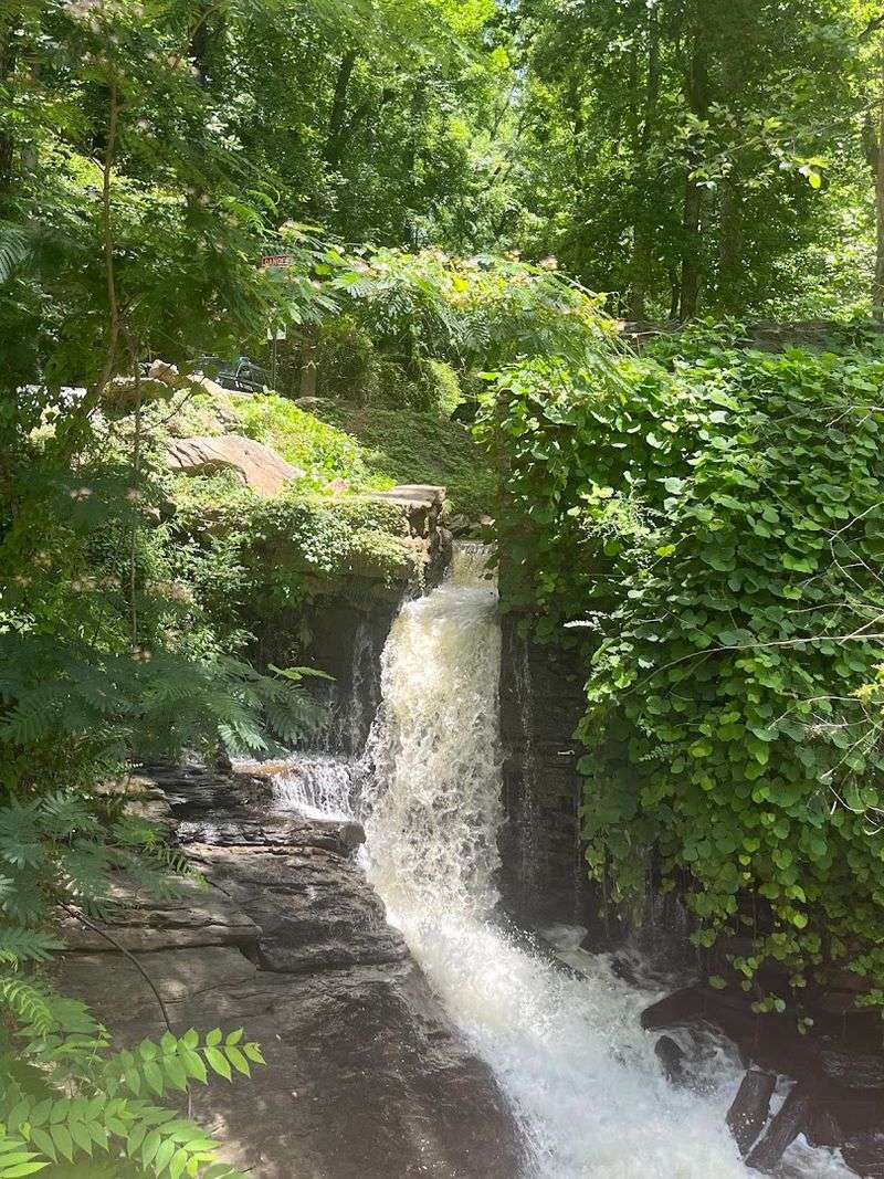 Photography Heaven From Every Angle