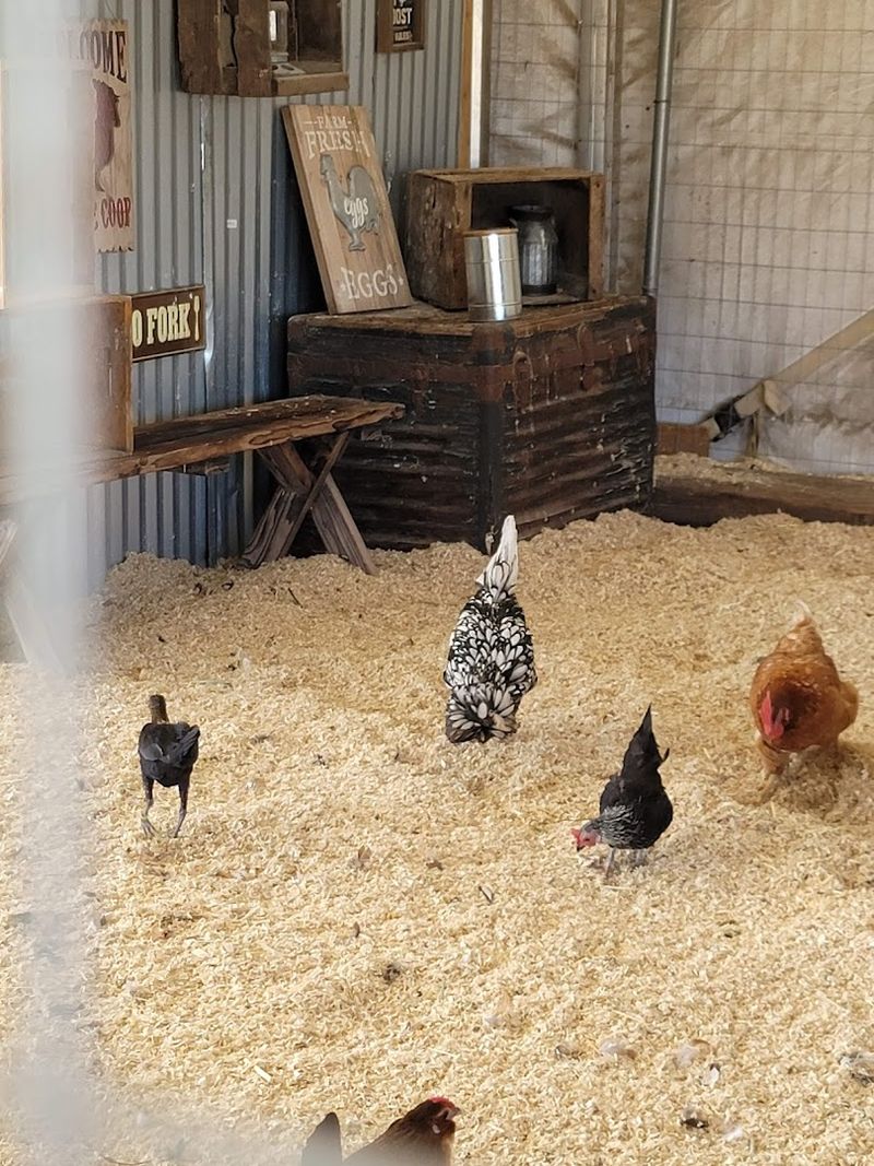 Barnyard Educational Exhibit