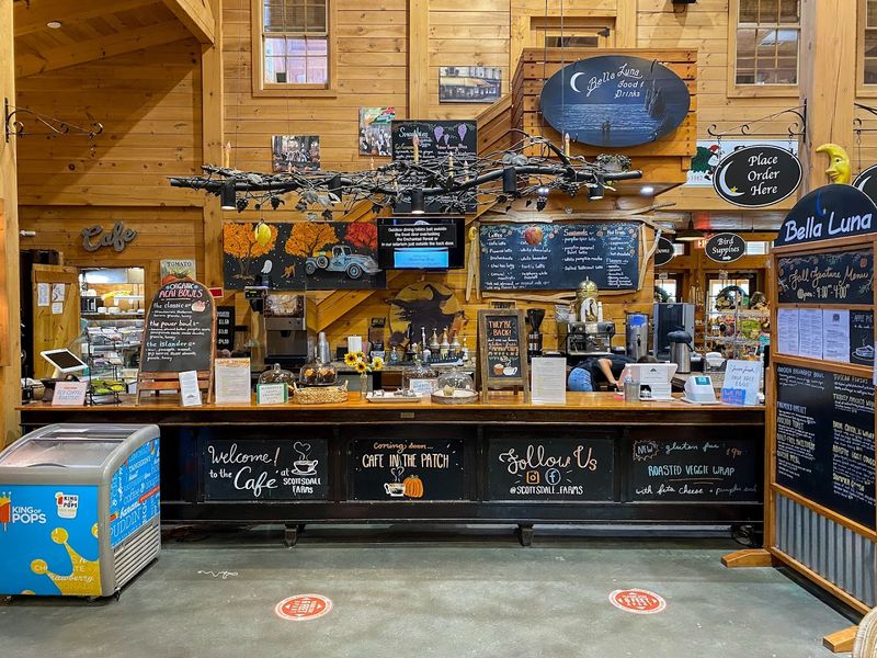 Family-Friendly Atmosphere with Expansive Outdoor Spaces