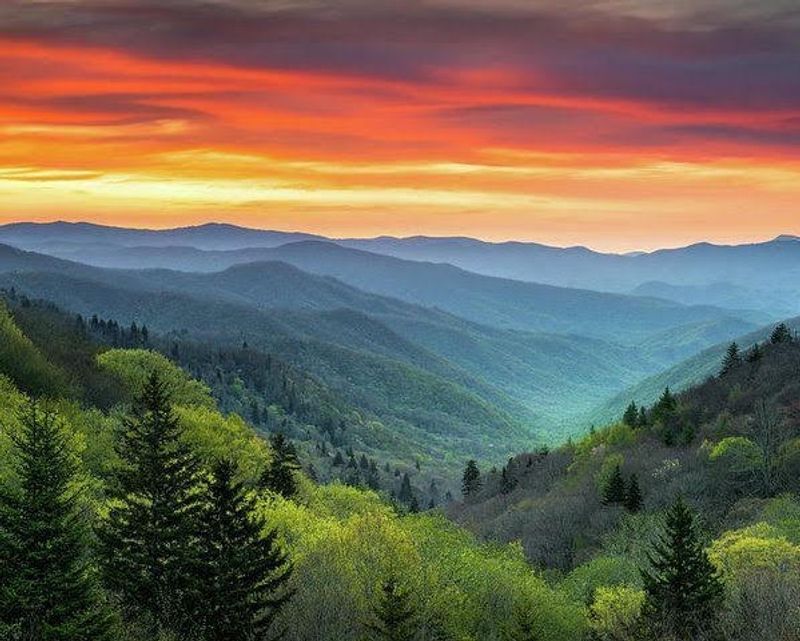 North Carolina Has Some Of The Most Exciting Spring Break Getaways And Here Is Why You Need To Go - Decor Hint Great Smoky Mountains National Park