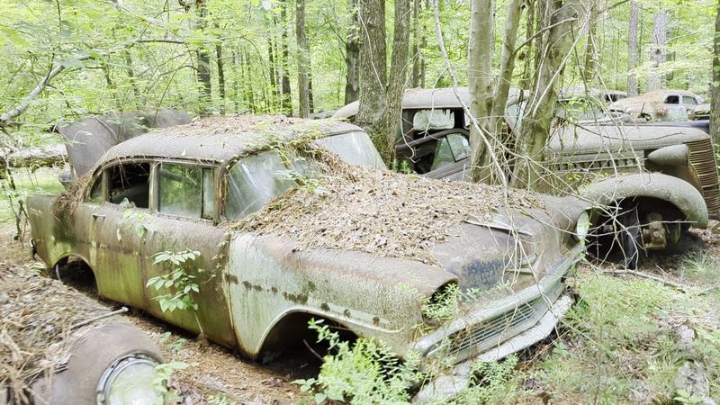 Explore 4,000 Abandoned Classic Cars Slowly Being Reclaimed By Nature At This Amazing Georgia Junkyard - Decor Hint Seven Miles of Nature Trails Worth Every Step