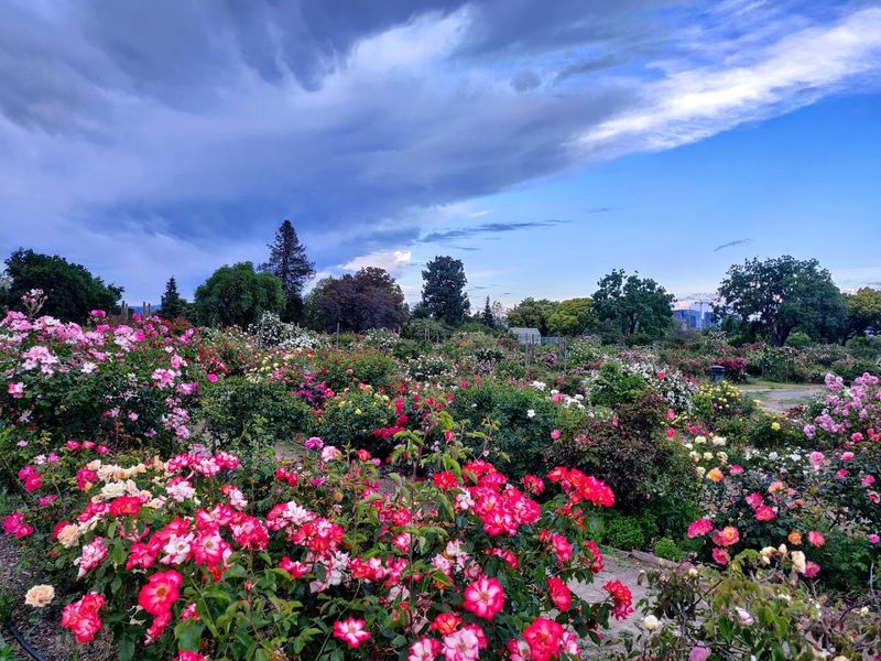 Guadalupe River Park And Gardens