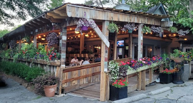 Dog-Friendly Patio That Welcomes Furry Guests