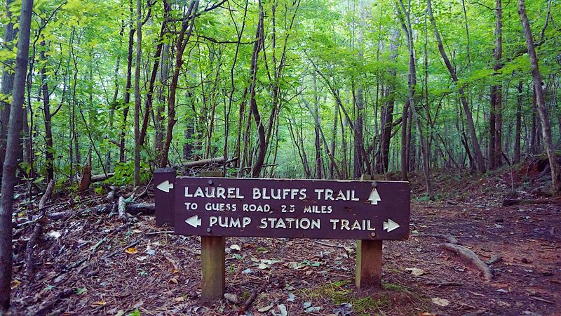 Pump Station Trail, Durham