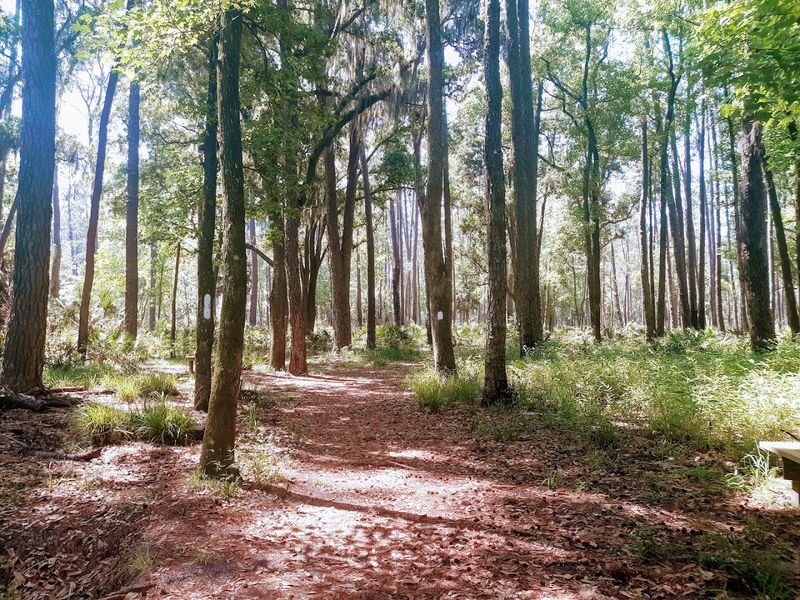 Astronomy Programs and Guided Night Events