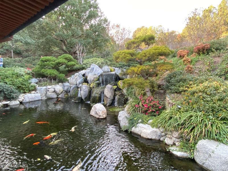 What You'll See Beyond Cherry Blossoms, From Koi Ponds To Lanterns