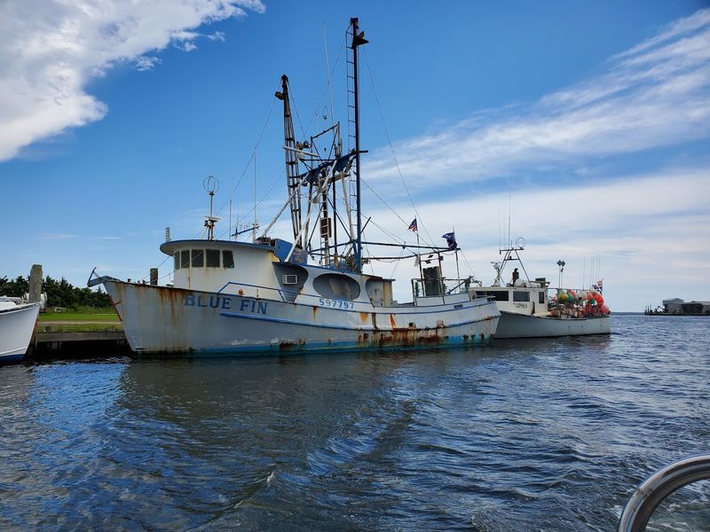 The Absence Of Tourist Traps