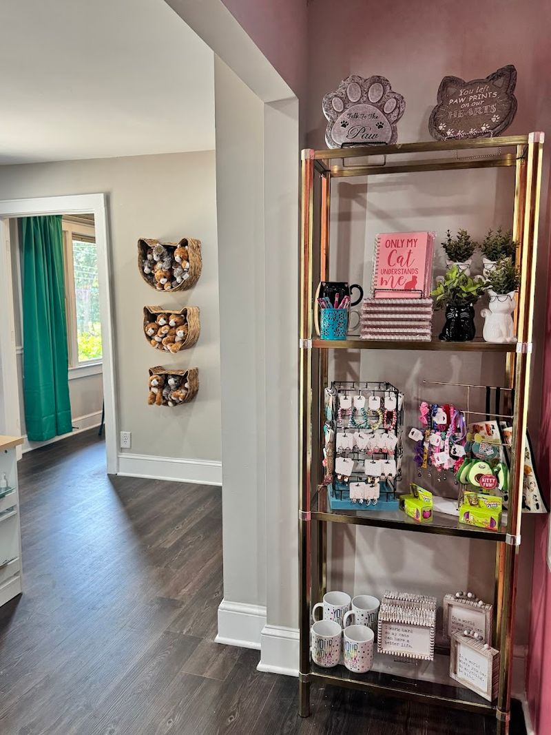 Why Is This North Carolina Café A Cat Lover's Dream - Decor Hint Cat-Themed Treasures Worth Taking Home