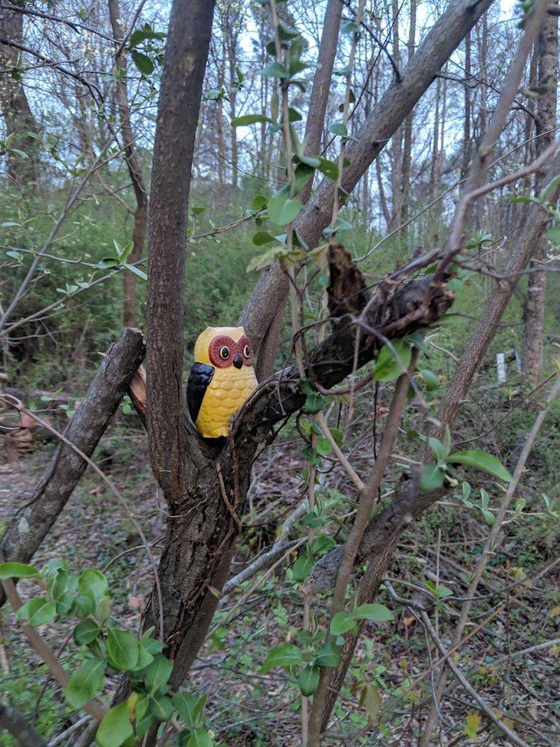 Free to Visit, Rich in Experience