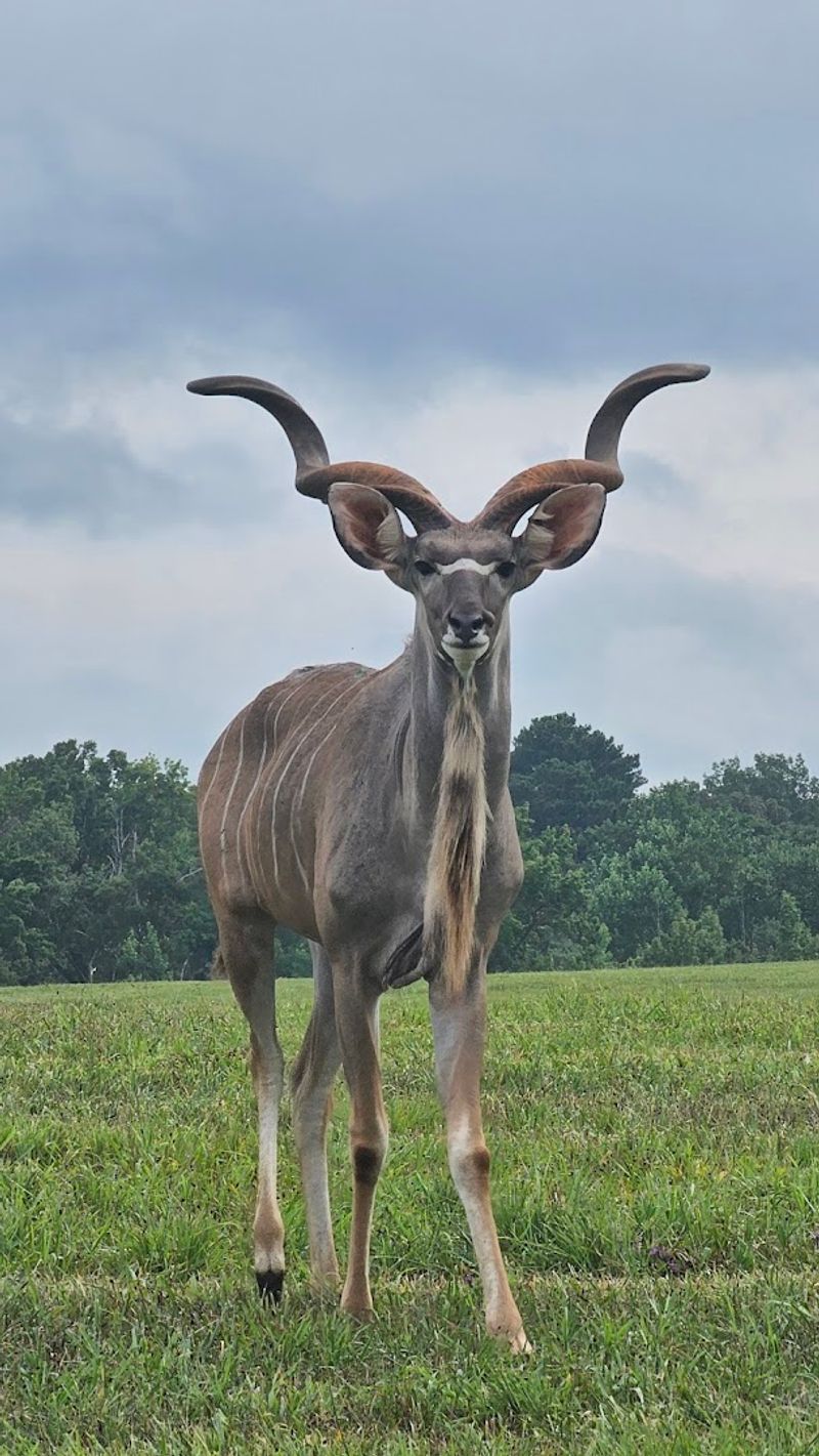 Spectacular Photo Opportunities With Exotic Animals