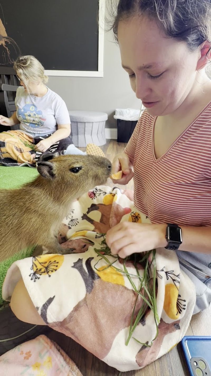 Cozy Cafe Setting with Light Refreshments