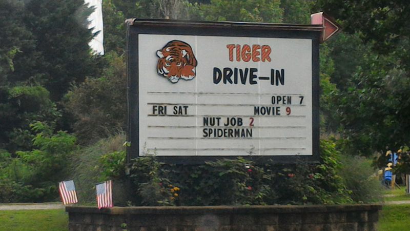 Affordable Admission That Fits Any Budget