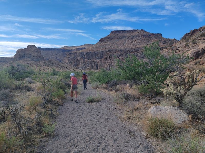 Trail Rules, Pet Policy, And Preserve Etiquette