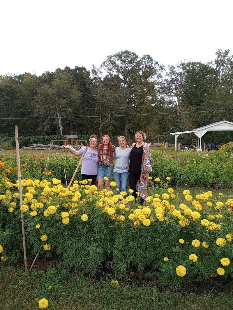 Friendly Farm Animals That Steal the Show