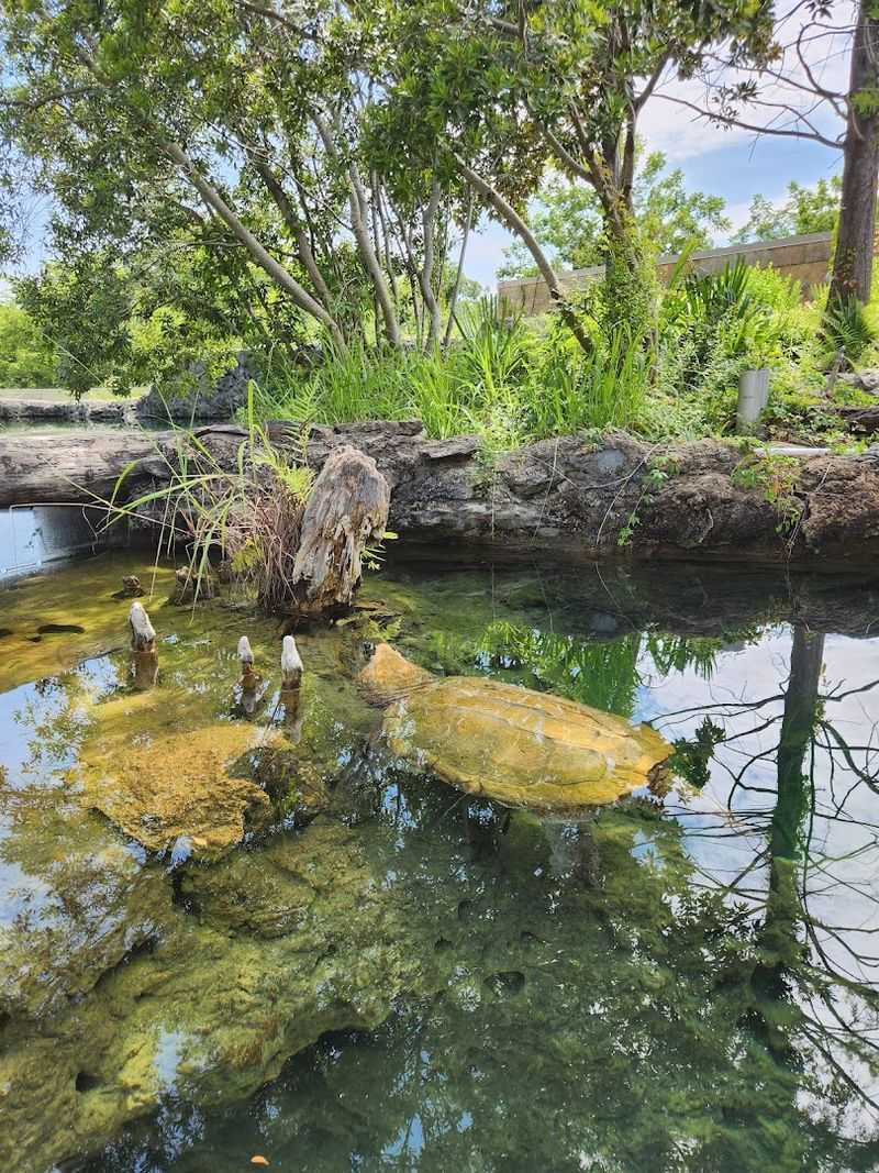 Learning About Local Flint River Ecosystems