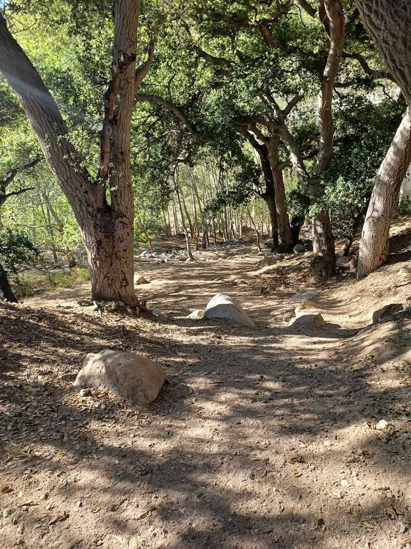 Eaton Canyon Falls Trail, Pasadena