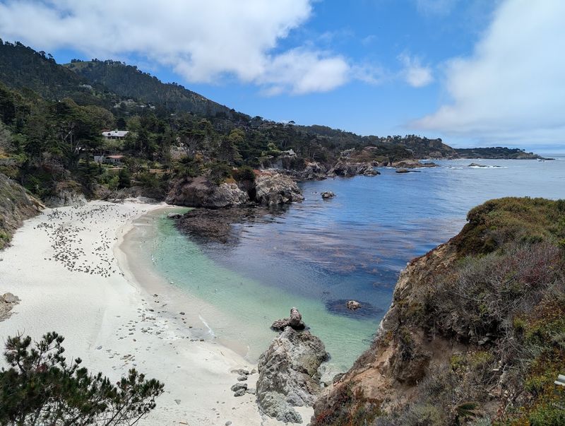 Point Lobos Loop Trail